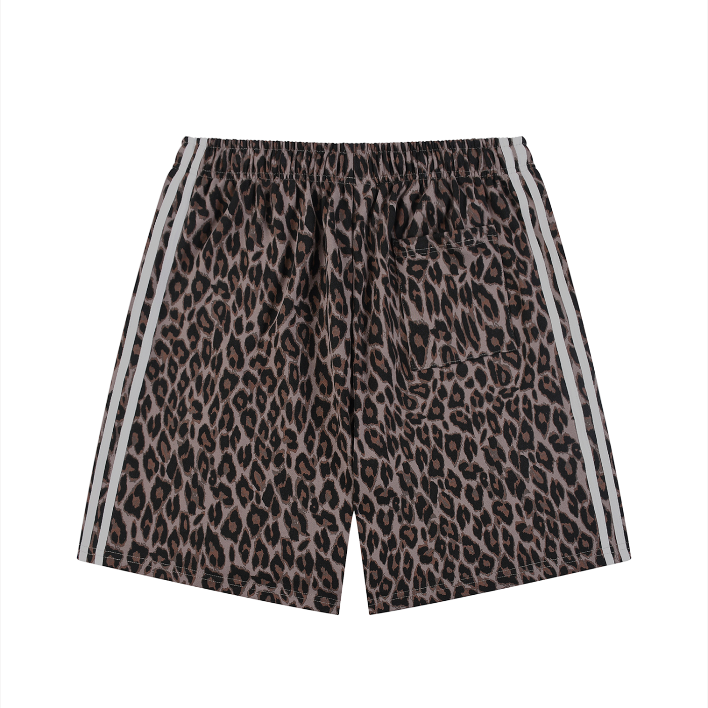 Wild Instinct Leopard Mesh Shorts