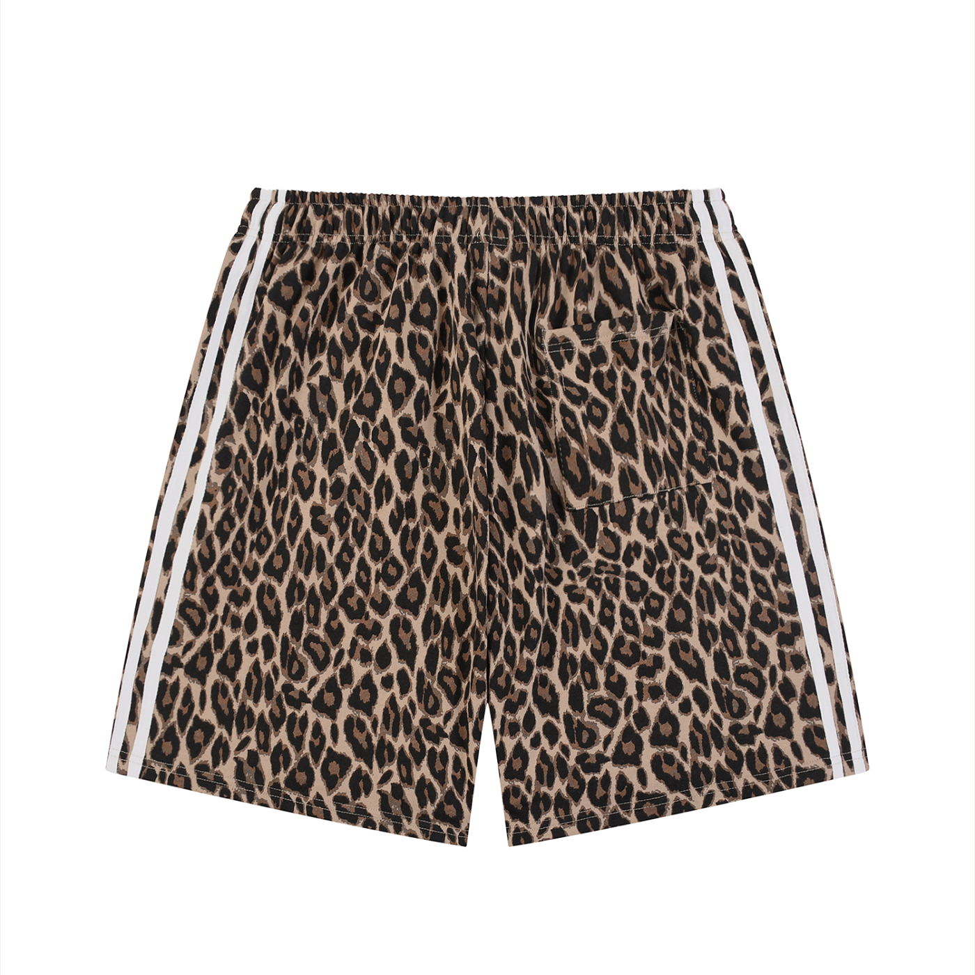 Wild Instinct Leopard Mesh Shorts