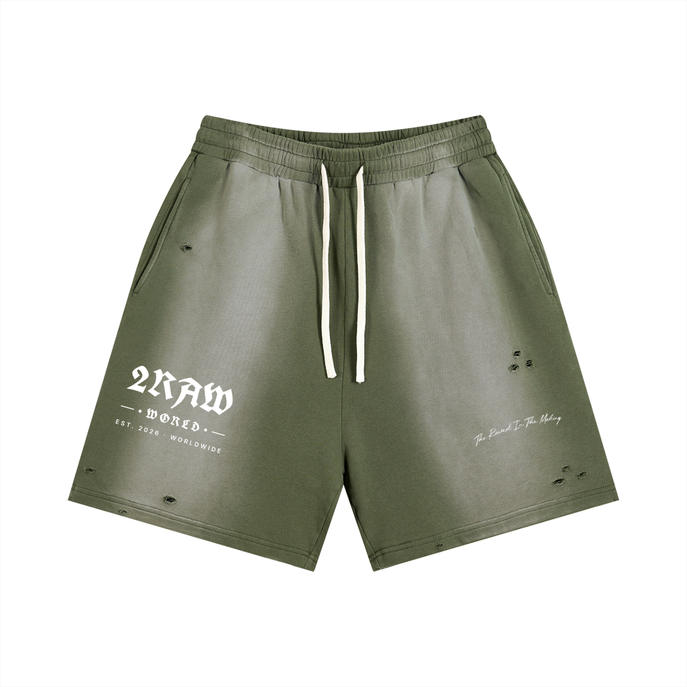 Sun Fade Distressed Shorts