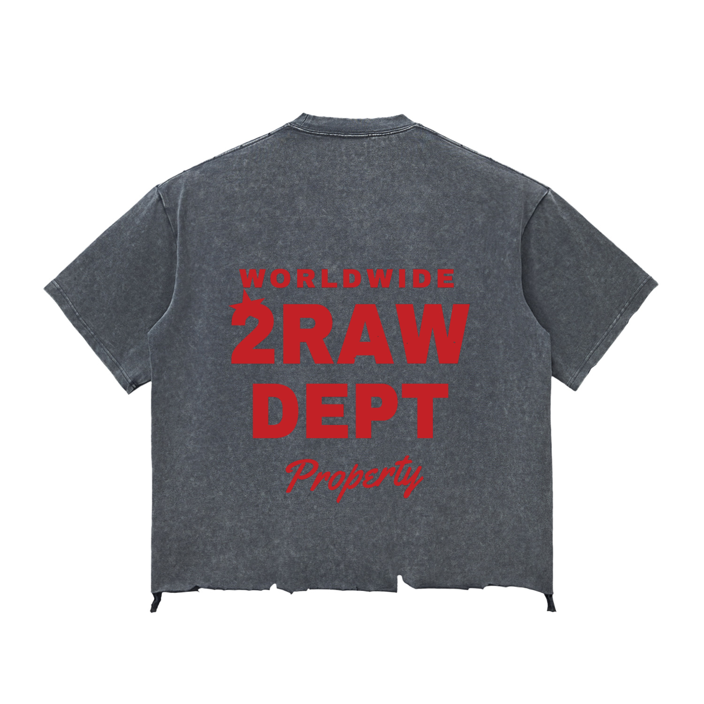 2RAW Snow Wash Raw-Hem Boxy Tee