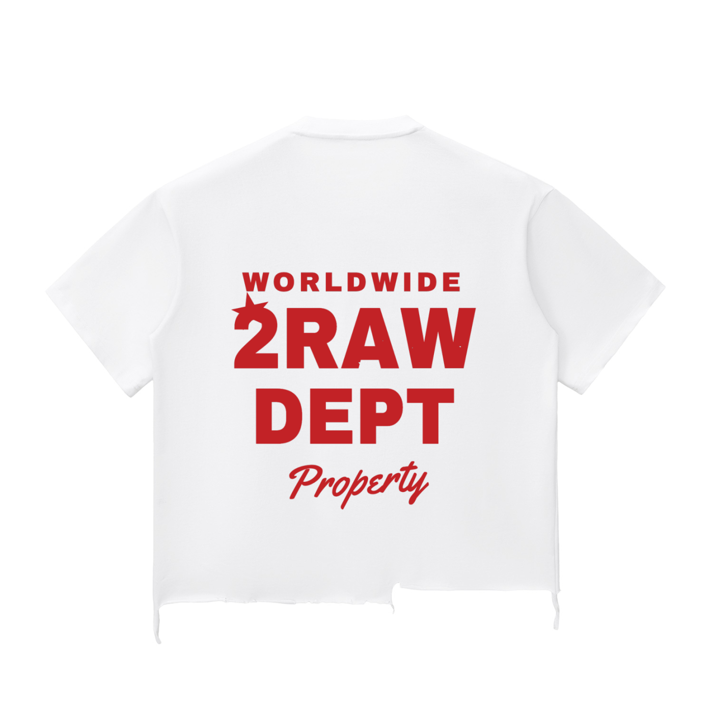 2RAW Snow Wash Raw-Hem Boxy Tee