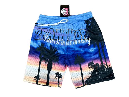 Spring 2RAW Shorts